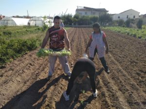 3 componentes del cuadrilla de la Alquería trabajando en la huerta